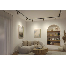 Modernes Wohnzimmer mit schwarzem Schienensystem an der Decke, hellem geschwungenem Sofa, Holz-Couchtisch und einer Wandnische mit Regalen.