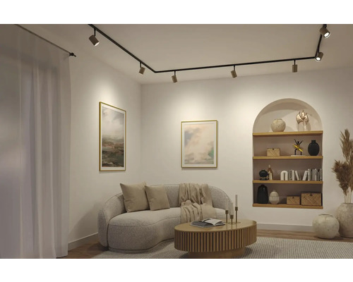 Modernes Wohnzimmer mit schwarzem Schienensystem an der Decke, hellem geschwungenem Sofa, Holz-Couchtisch und einer Wandnische mit Regalen.