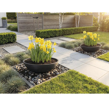 Gartenszene mit Pflastersteinen, Blumen und Dekoration