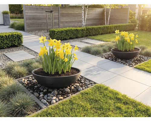 Gartenszene mit Pflastersteinen, Blumen und Dekoration