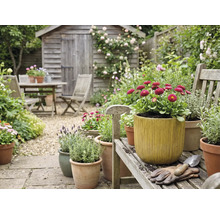 Gartenszene mit Holzgartenhaus, Gartentischgruppe und bepflanzten Blumentöpfen auf einer Holzbank