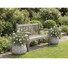 Holzbank im Garten mit Blumen in dekorativen Pflanzgefäßen.