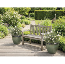 Gartenlandschaft mit Holzbänken und Margeriten in Pflanzgefäßen.