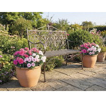 Gartenszene mit einer dekorativen Metallbank und Blumentöpfen mit bunten Blüten