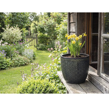Gelbe Narzissen in strukturiertem Pflanzgefäß auf Holzbrett vor Gartenlandschaft