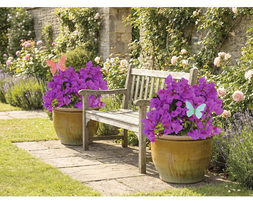 Gartenlandschaft mit Bank, Blumentöpfen und blühenden Bougainvillea Pflanzen