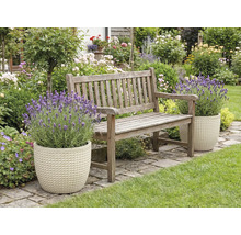 Garten mit Holzbank und Lavendel in Pflanzgefäßen