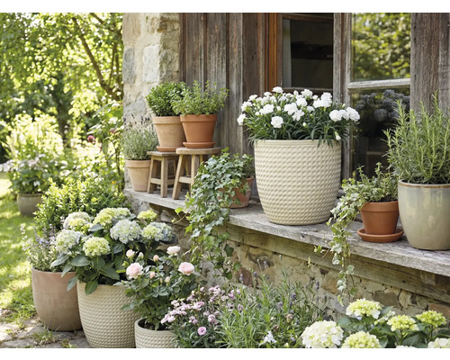 Blumenarrangement mit Topfpflanzen im Außenbereich