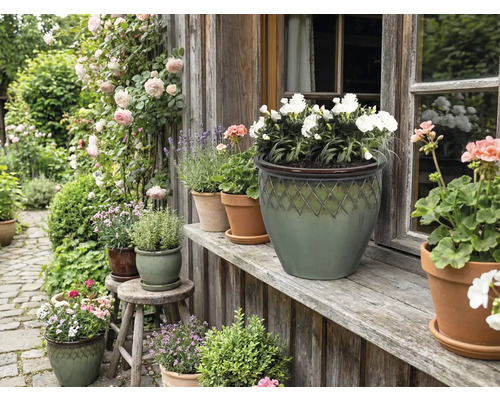Dekorativer Garten mit Blumen und Pflanzen in Blumentöpfen vor einem Haus.