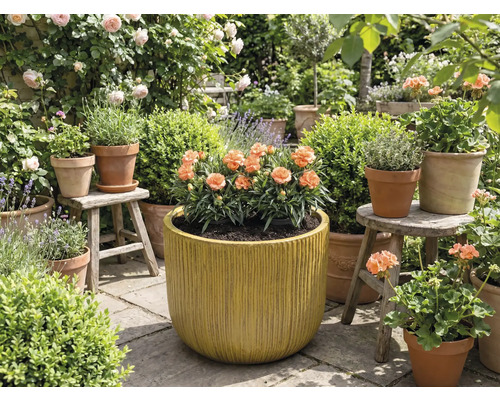 Garten mit Blumen in Töpfen und Pflanzgefäßen.