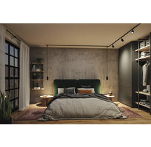 Modernes Schlafzimmer mit Wand in Betonoptik, Doppelbett mit grünem Kopfteil und schwarzem Schienensystem mit Strahlern und Pendelleuchten.