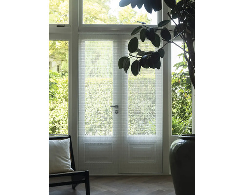 Innenraum mit Tür mit Glasstruktur, Sessel und Zimmerpflanze