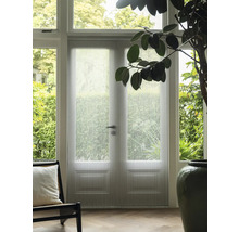 Raumansicht mit Doppeltür und Insektenschutzgitter