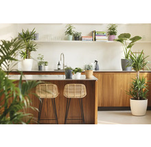 Helle Küche mit Holzelementen, Arbeitsplatte aus Metall, Barhockern und verschiedenen Zimmerpflanzen