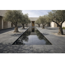 Außenbereich mit Wasserbecken, Steinfliesen und Olivenbäumen