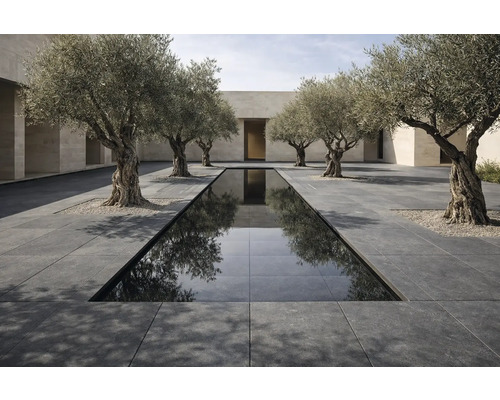 Außenbereich mit Wasserbecken, Steinfliesen und Olivenbäumen