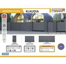 Zaunsystem Klaudia in Anthrazit RAL 7016 vor modernem Haus, bestehend aus Zaunfeldern, Einzeltor und Doppeltor mit horizontalen Lamellen.