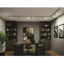 Modernes Arbeitszimmer mit dunklem Schreibtisch, Lederstuhl, zwei Regalen und Schienensystem an der Decke. Organisierte Atmosphäre mit Wandbildern.