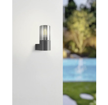 Moderne zylindrische Außenwandleuchte in Anthrazit mit Glasschirm und sichtbarem Filament-Leuchtmittel, montiert an einer hellen Wand.