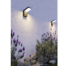 Zwei moderne schwarze Außenwandleuchten an einer strukturierten Wand über einem Garten mit Lavendel und Steinen.