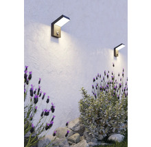 Moderne Außenwandleuchten mit Bewegungsmelder an einer strukturierten Wand über einem Garten mit Lavendel und Steinen.