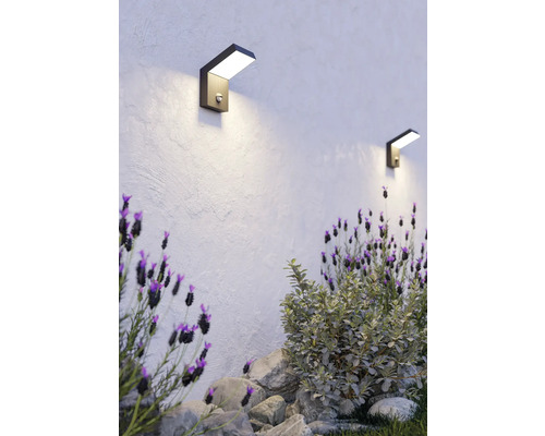 Moderne Außenwandleuchten mit Bewegungsmelder an einer strukturierten Wand über einem Garten mit Lavendel und Steinen.