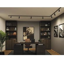 Modernes Arbeitszimmer mit schwarzem Schienensystem an der Decke, dunklem Schreibtisch aus Holz, braunem Lederstuhl und zwei Bücherregalen.