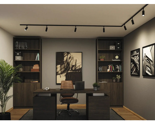 Modernes Arbeitszimmer mit schwarzem Schienensystem an der Decke, dunklem Schreibtisch aus Holz, braunem Lederstuhl und zwei Bücherregalen.
