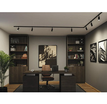 Modernes Heimbüro mit dunklem Schreibtisch, passenden Bücherregalen und einem schwarzen Schienensystem mit Strahlern an der Decke.