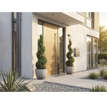 Moderner Hauseingang mit einer hellen Holz-Haustür, zwei spiralförmigen Buchsbäumen in Kübeln, einem Briefkasten und grauen Bodenplatten.