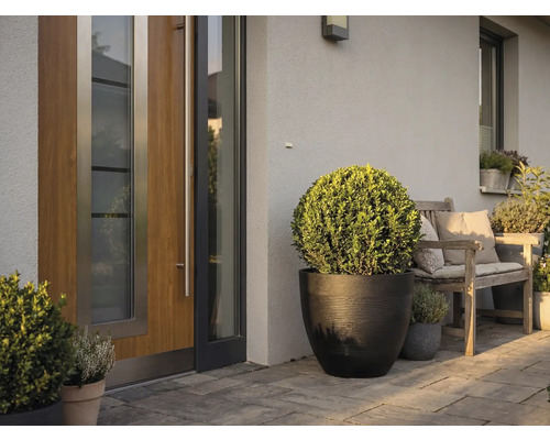 Moderner Eingangsbereich mit einer Holztür, einem großen schwarzen Pflanzkübel mit Buchsbaumkugel und einer Holzbank auf einer gepflasterten Terrasse.