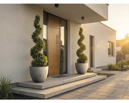 Moderner Hauseingang mit Holztür, zwei spiralförmigen Buchsbäumen in grauen Pflanzgefäßen auf Betonstufen und gepflastertem Weg.