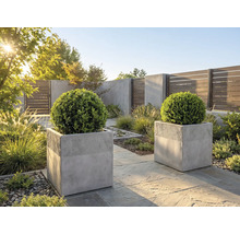 Moderner Garten mit zwei quadratischen grauen Pflanzkübeln aus Beton, bestückt mit runden Buchsbaumkugeln auf einer Steinterrasse bei Sonnenlicht.