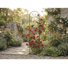 Rankgitter aus schwarzem Metall mit Vogel- und Blattmotiven, bewachsen mit roten Kletterrosen in einem hellen Garten mit Steinpfad.