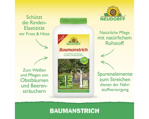 Neudorff Baumanstrich zur Pflege von Obstbäumen und Beerensträuchern, schützt die Rinde vor Frost und Hitze. Neudorff Logo.