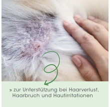 Unterstützung bei Haarverlust, Haarbruch und Hautirritationen beim Hund gezeigt an einer Nahaufnahme von gereizter Haut.