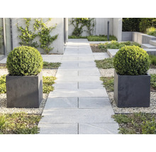 Moderner Garten mit einem hellgrauen Plattenweg, gesäumt von zwei quadratischen Pflanzgefäßen mit runden Buchsbaumkugeln auf hellem Kies.