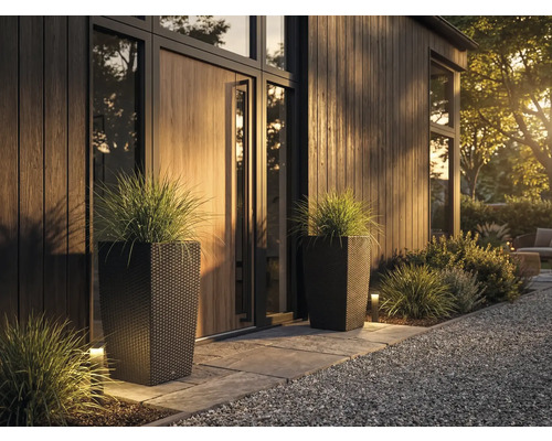 Zwei hohe, dunkle Pflanzkübel in Rattan-Optik mit Ziergras vor einem modernen, organisierten Hauseingang mit Holzverkleidung und Steinplatten.