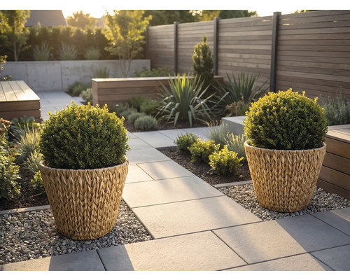 Moderner Garten mit zwei geflochtenen Pflanzgefäßen mit Kugelbüschen auf einem Steinweg neben einem Holzzaun und Kiesflächen.