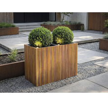 Rechteckiger Pflanzkübel aus Holzlamellen mit zwei Buchsbaumkugeln und integrierter Beleuchtung in einem modern gestalteten Garten mit Kies.