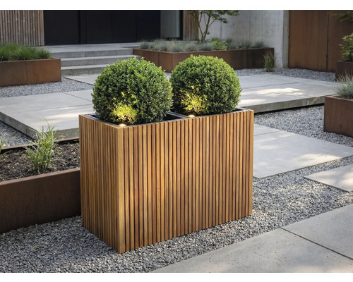 Rechteckiger Pflanzkübel aus Holzlamellen mit zwei Buchsbaumkugeln und integrierter Beleuchtung in einem modern gestalteten Garten mit Kies.