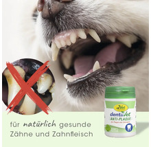 Hund mit gesunden Zähnen, Vergleich mit Zahnbelag und cdVet dentaVet Anti-Plaque Zahnpflege für Hunde für gesundes Zahnfleisch.