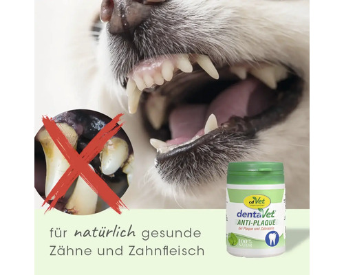 Hund mit gesunden Zähnen, Vergleich mit Zahnbelag und cdVet dentaVet Anti-Plaque Zahnpflege für Hunde für gesundes Zahnfleisch.