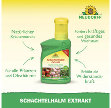 Neudorff Schachtelhalm Extrakt, natürlicher Kräuterextrakt für Pflanzen und Obstbäume, fördert Wachstum und Widerstandskraft, Neudorff Logo.