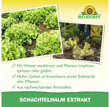 Infografik für Neudorff Schachtelhalm Extrakt zur Pflanzenstärkung mit Kieselsäure aus nachwachsenden Rohstoffen und Neudorff Logo.