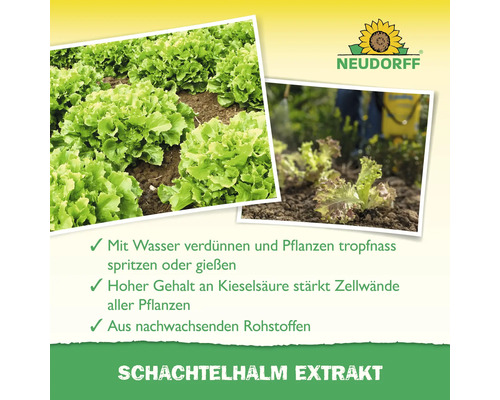 Infografik für Neudorff Schachtelhalm Extrakt zur Pflanzenstärkung mit Kieselsäure aus nachwachsenden Rohstoffen und Neudorff Logo.