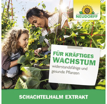 Frau und Kind im Garten bei der Pflege von Gurkenpflanzen im Hochbeet. Neudorff Logo. Text Schachtelhalm Extrakt für kräftiges Wachstum.