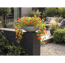 Graue Pflanzschale mit orangefarbenen Kapuzinerkressen auf einer dunklen Mauer in einem modernen Garten mit Holzterrasse und Lounge-Möbeln.