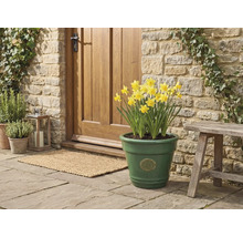 Grüner glasierter Keramik-Pflanztopf mit Sonnenblumen-Emblem und gelben Narzissen, vor einer Natursteinwand im Eingangsbereich.