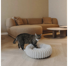 Getigerte Katze steigt in ein rundes, weiches Katzenkörbchen in einem modernen Wohnzimmer mit Sofa und Parkettboden.